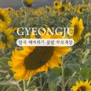 와동구판장 화장실 이미지