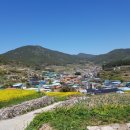 들길봄동 이미지