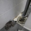 동탄2LH35단지아파트 이사청소 완료 후기｜미스터크린마스터