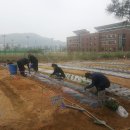 하수농장 이미지