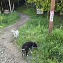 오룡산 등산로 입구 이미지