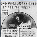 오동곡 네이버블로그
