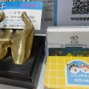 닥터강동물병원 이미지