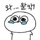 (주)마로스튜디오 | 이정도면 많이 안탄거지? 제주 렛츠 끼끼🏝️