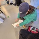 GS25 중랑우림점 | 나의 힐링 포인트 [다시 사랑받개] 방문 후기 🐶