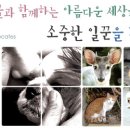 사단법인 동물보호시민단체 'KARA'에서 사무국장 및 활동가를 모집합니다. 이미지