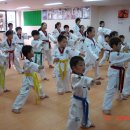 세림태권도체육관 이미지