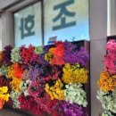 현충원로3 이미지