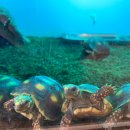 (주)바이브앤 이미지