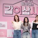 같이삽시다 이미지