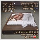 (주)미래생명자원 이천 제2공장 | 기괴함에 따뜻함? 수원 행궁동 데이트 추천, 시립미술관 : 피치니니 킨쉽 후기