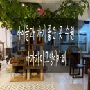 아가마미 고양이카페 | 아이들과 가기 좋은 곳 수원 아가마미 고양이카페 영통