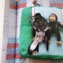 마리블룸 이미지