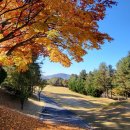 골드힐카운티골프클럽 이미지