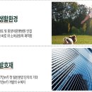 유승개발(주)