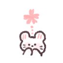 캣츠나비 이미지