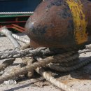 어항단지로 이미지