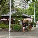 카페테라(Cafe tera) | 조죠지 디저트 카페, 테라 Tera 방문 후기 및 메뉴 추천