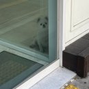 남도약국 | ✨아프지만 노는건 포기할 수 없었던 11월 일상이야기✨