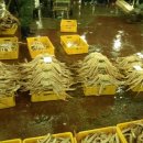 숭문중학교 이미지