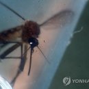 (주)지카 이미지