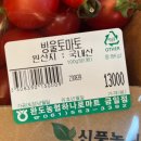 금일해당화해변 이미지