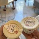 세븐일레븐제주탑동광장점 네이버블로그