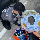 동동海. 돌고래횟집 | 여름방학 경주여행_ 감포 송대말등대 스노클링🐟