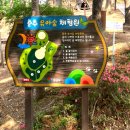 춘추 유아숲체험원 이미지