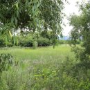 동포무도장 | 한강물 생태체험 및 세미원 두물머리 둘레길 걷기