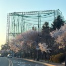 이마트24 광교대학로점 | 수원 광교피부관리 달리아 에스테틱 작은얼굴관리 솔직후기