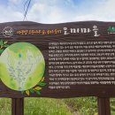 양촌면 햇빛촌바랑산마을 네이버블로그