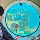 프린스팟 | 제주 서귀포 잠수함 내돈내산 후기ㅣ흐린날 시야, 멀미, 좌석, 할인, 꿀팁 등 무조건 필독! (Q&A 포함)