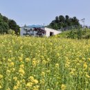 경인목장 이미지