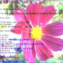 대성프로서비스 이미지