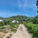 참다운농장 이미지