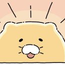 너나랑스넥 네이버블로그