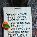 창해한의원 이미지