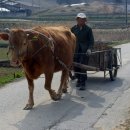 시골나들이 이미지