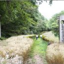 초가마을 이미지