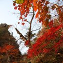 설악산 단풍(공룡능선) 이미지