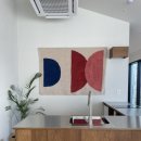 단비고집 이미지