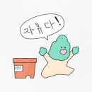 jpg. 제이피지 잡화점 🎁🩷🎄 돌콩블루 자파점 단델리온 스티커 구입 후기 😍