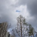 서두물로35번길66 네이버블로그