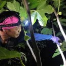 영암햇살농장 이미지