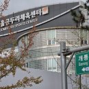 오금동주민센터 1회의실 | 서울곰두리체육센터 수영장 자유수영(주말 일일 자유수영 이용 정보)
