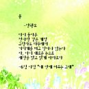 오늘도화이팅 Daum카페