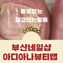 디아나뷰티