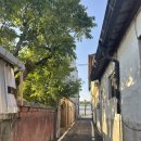 스테이로이 이미지