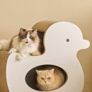 플레이덕